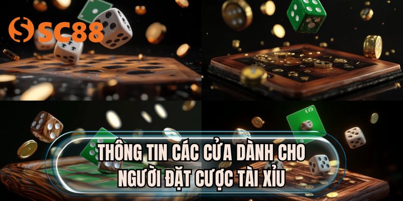 Thông tin các cửa dành cho người đặt cược tài xỉu